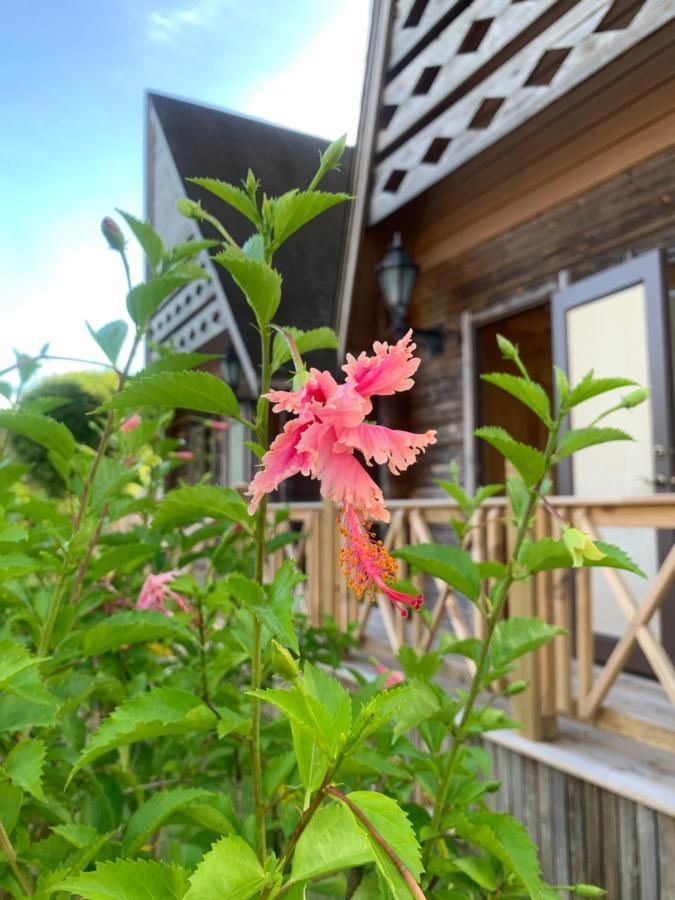 Island Paradise Resort Club Корор Екстериор снимка